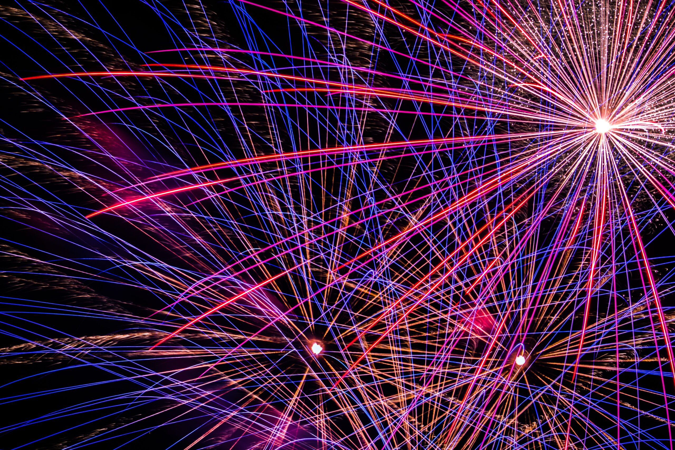 pexels-happyrisingguy-33206019